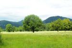 2014-07-05_Laengental-N-Hochweg (161). JPG